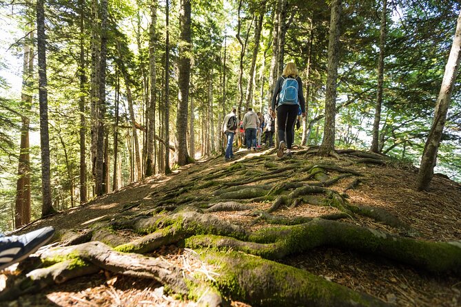 6 Day Tour - Trekking, Rafting, Jeep safari and Canyoning - Trekking to Trnovačko Lake: A Border Hike With Heart-Shaped Payoff