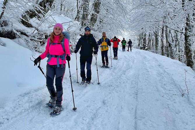 Experience Snowshoeing in Olympic Mountain Bjelašnica - The walk you’ll actually do on snow: Kolijevka to Heliodrom