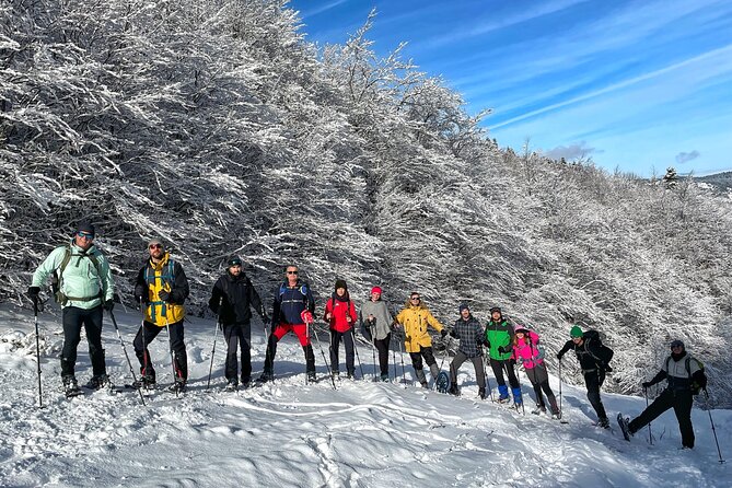 Experience Snowshoeing in Olympic Mountain Bjelašnica - The drive up: starting at Babin and riding to the trail