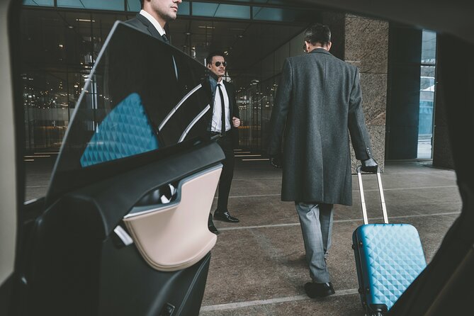 One-way Private Airport Transfer to Sarajevo - Butmir Airport Meet-and-Greet: How the Driver Finds You