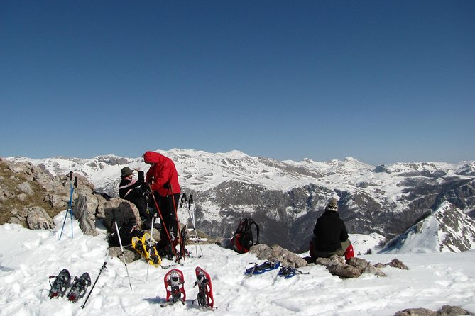 Sarajevo Snowshoeing Adventure - Price and value: what $69.81 covers (and what it saves you)